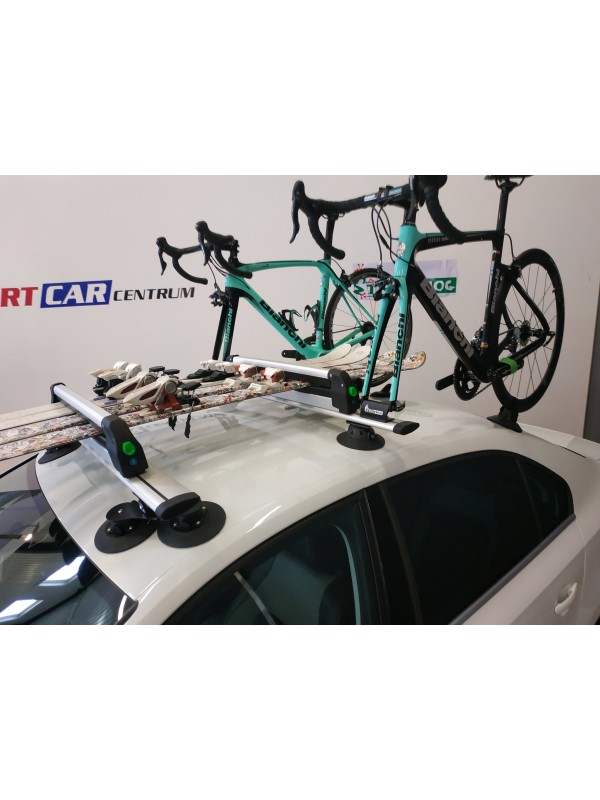 VSESTRANSKI STREŠNI NOSILEC TREEFROG CROSSBAR RACK