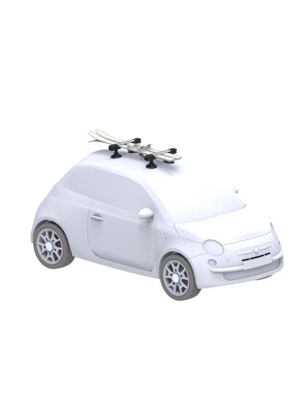 STREŠNI NOSILEC TREEFROG 365 SKI & SNOWBOARD RACK