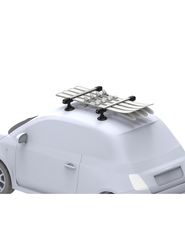 STREŠNI NOSILEC TREEFROG 626 SKI & SNOWBOARD RACK