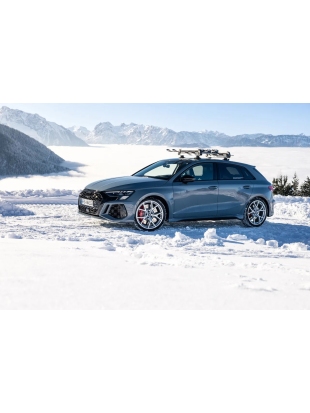 STREŠNI NOSILEC TREEFROG 626 SKI & SNOWBOARD RACK