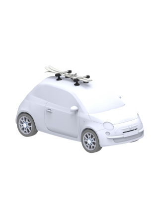 STREŠNI NOSILEC TREEFROG 365 SKI & SNOWBOARD RACK