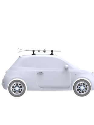 STREŠNI NOSILEC TREEFROG 365 SKI & SNOWBOARD RACK