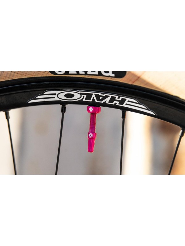 TUBELESS VENTIL MUC OFF 60 mm več barv