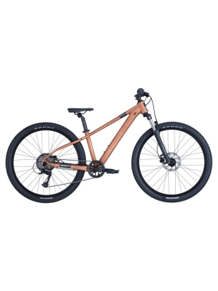 OTROŠKO KOLO SCOTT ROXTER 600 26